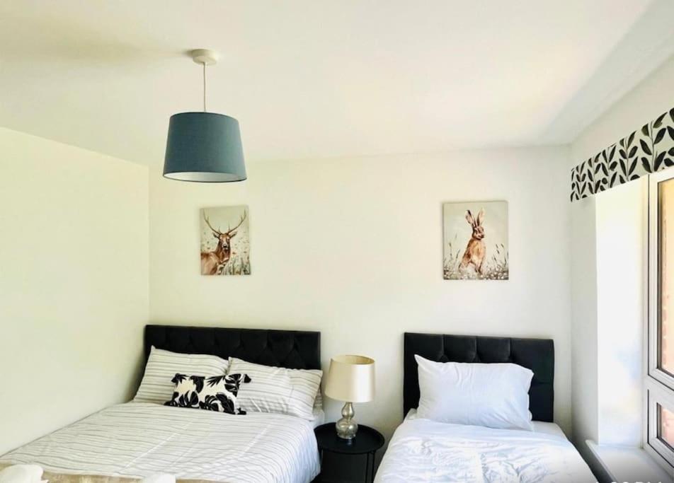 Ashford Retreat - Luxury Home With Double Parking Dış mekan fotoğraf