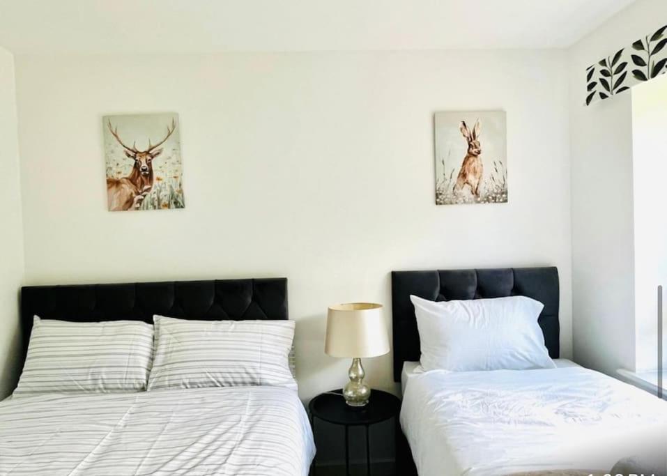 Ashford Retreat - Luxury Home With Double Parking Dış mekan fotoğraf