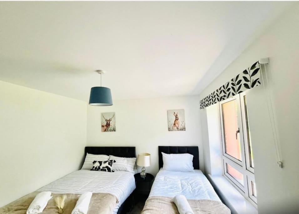 Ashford Retreat - Luxury Home With Double Parking Dış mekan fotoğraf